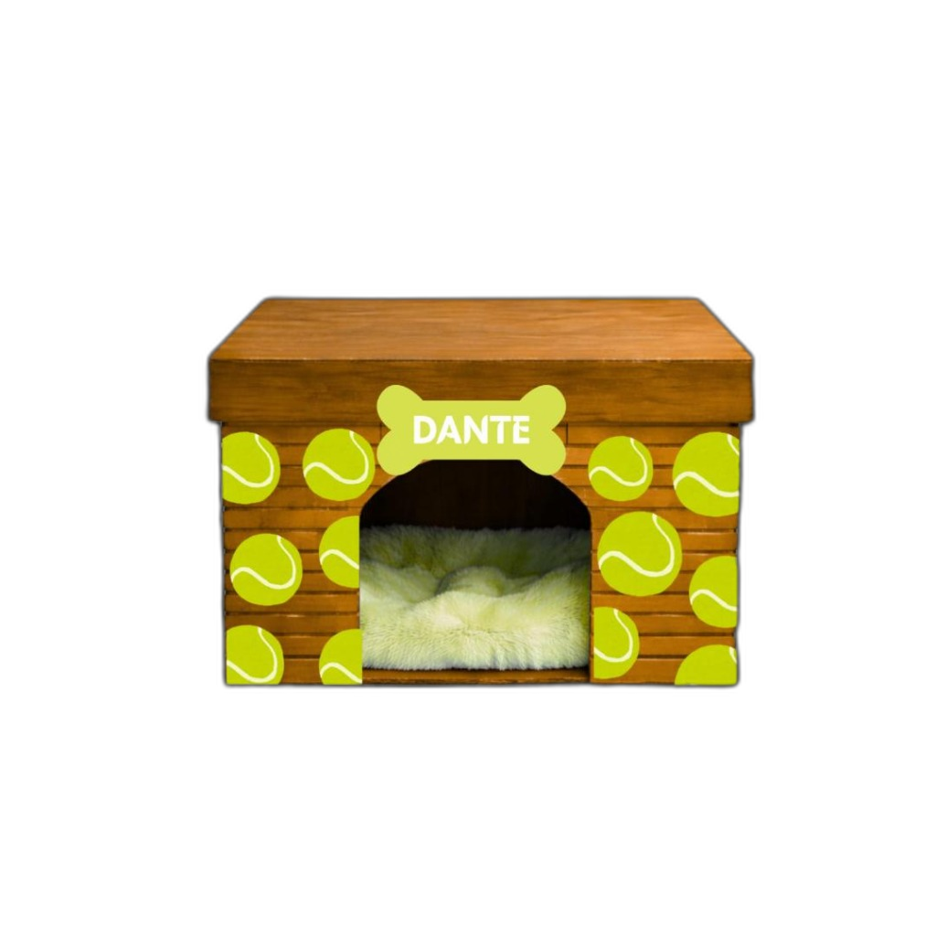 Modelo Dante