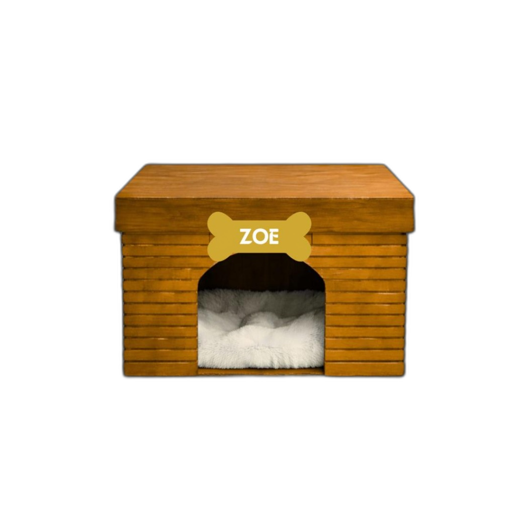 Modelo Zoe